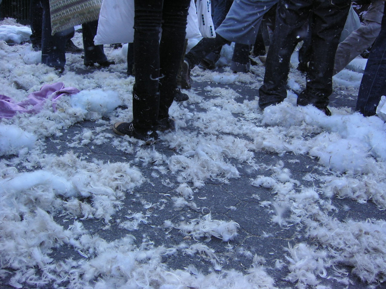 pillow fight nyc