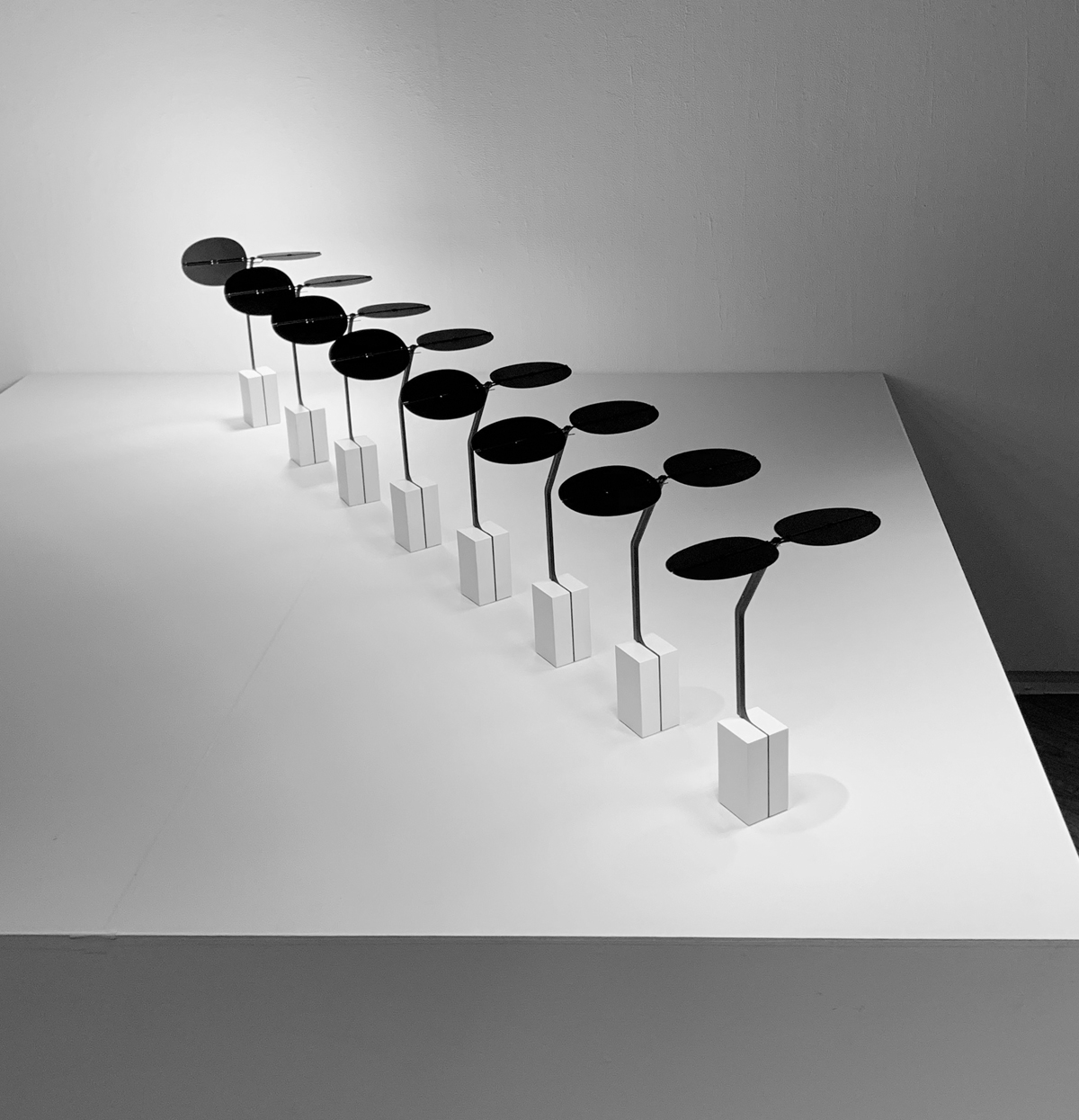SAGE, Ambientec. Design by Nao Tamura. | AXIS Gallery, Tokyo, 2019. Eight SAGE, each leaf turned a little further toward the light than the last—the sun's path, laid out in space.