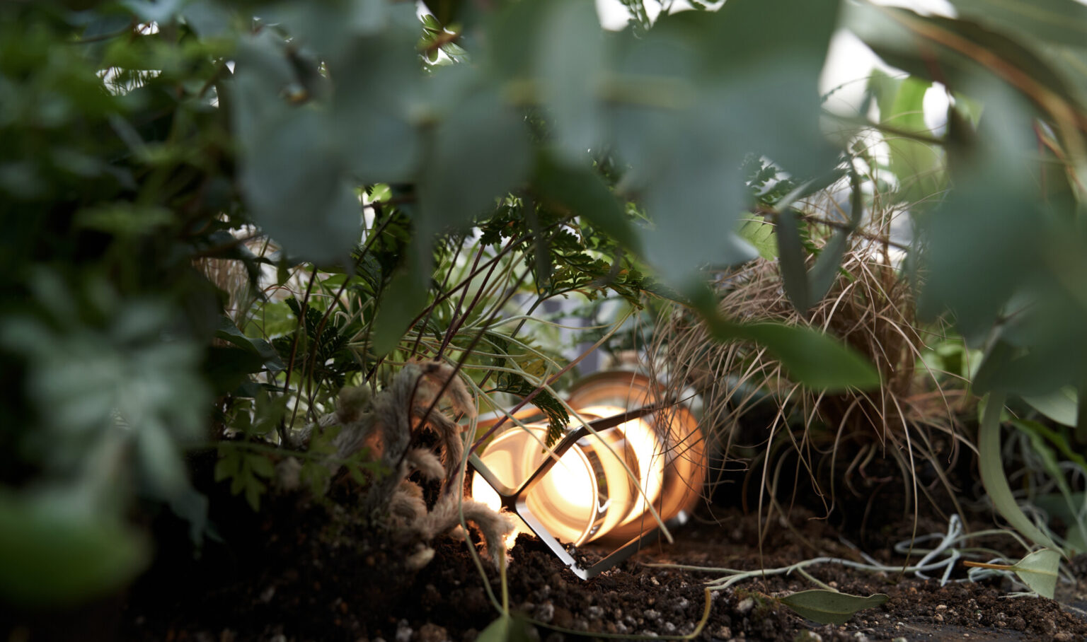 TURN+, Ambientec. Design by Nao Tamura. | Set among leaves and roots for DISSECT, an installation with plant artist Satoshi Kawamoto. Light Box Studio Aoyama, 2022. Photo: Hiroshi Oppata