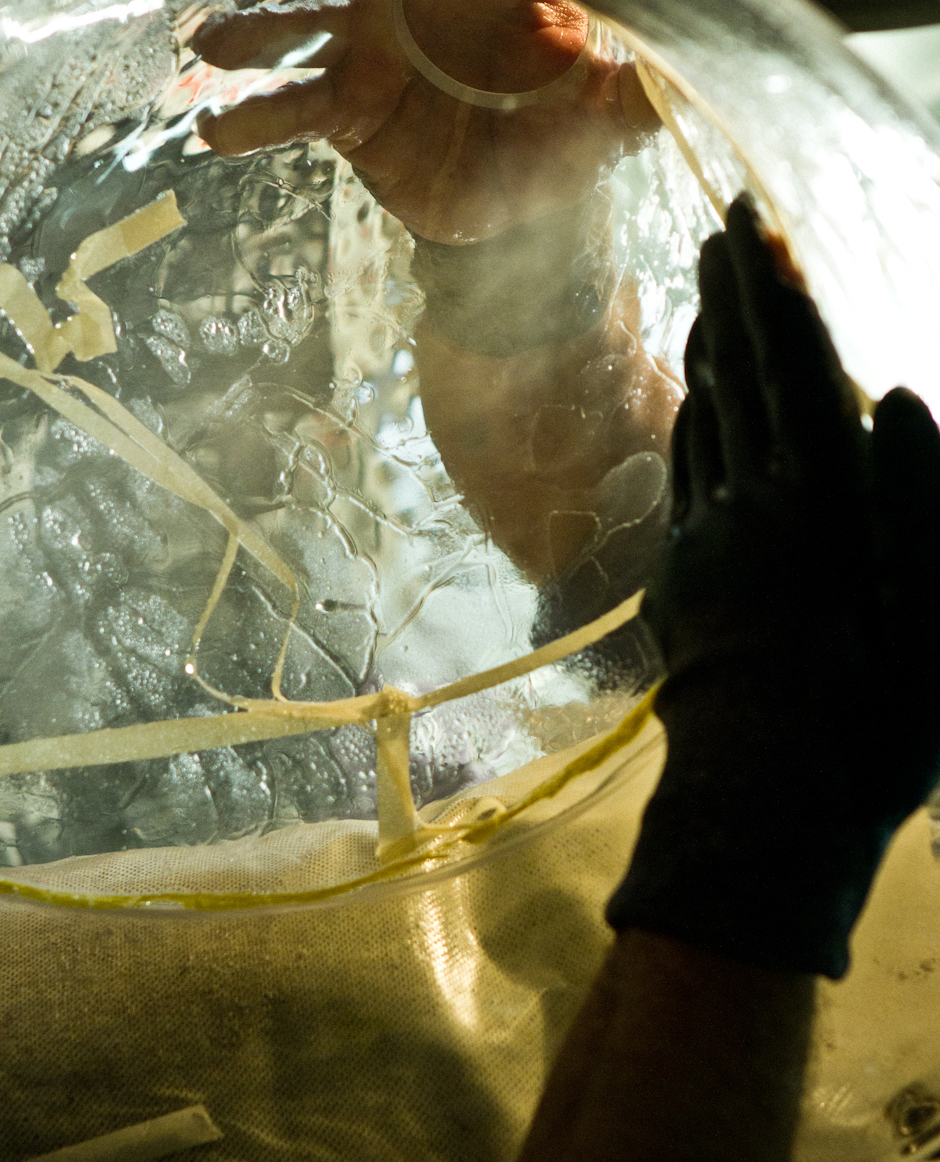 FLUID, WonderGlass. Design by Nao Tamura.